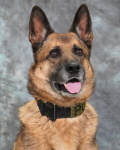K9 Ritter