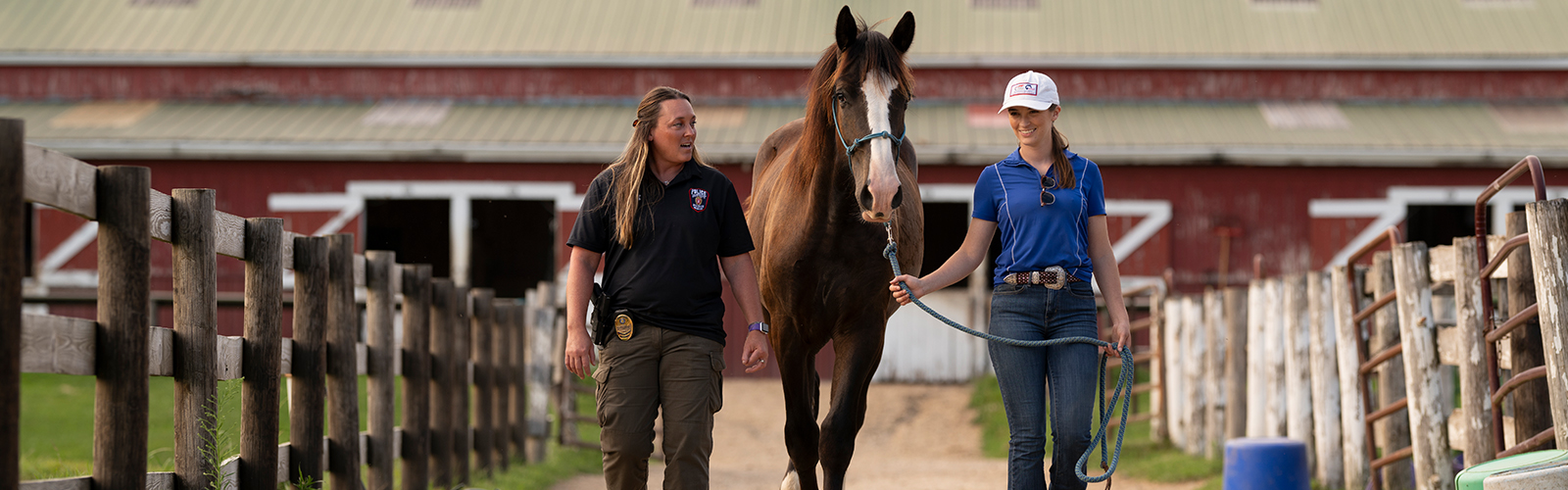 Lt. Lopez, Puck and Training at Horse Farm